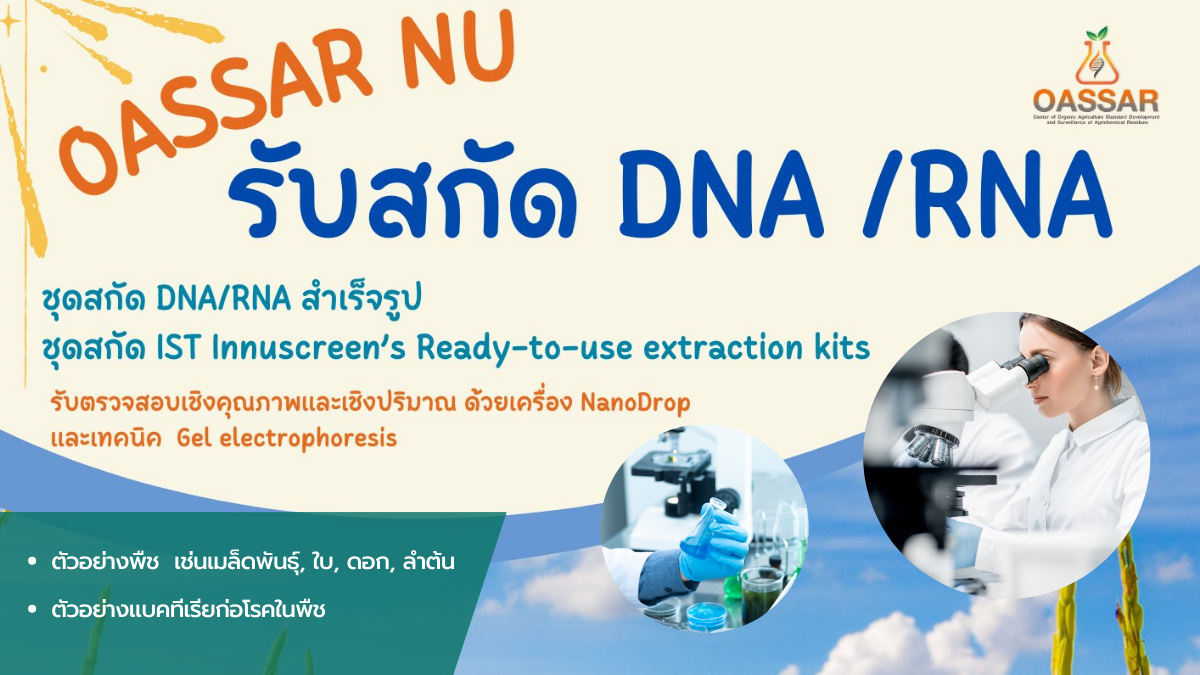 สถานพัฒนามาตรฐานฯ รับบริการสกัดและวิเคราะห์คุณภาพ DNA/RNA ในตัวอย่างต่างๆ โดยใช้ชุดสกัด DNA/RNA สำเร็จรูป